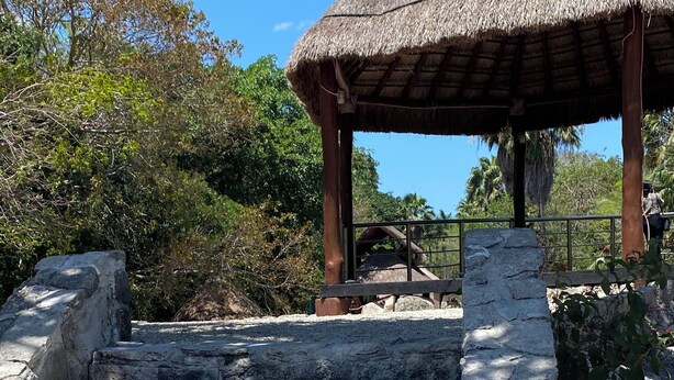 A stone staircase leading to a thatched-roof structure. - Cozy Apartment 1B Puerto Morelos  (PUERTO MORELOS)