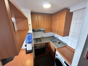 Fridge, microwave, oven, coffee/tea maker - Private apartment in Santiago (Santiago)