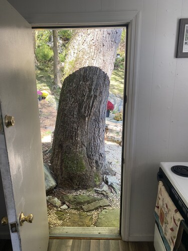 Cozy Laurel Highlands Cabin Minutes to Ski Resorts, Fishing, Hiking, etc.