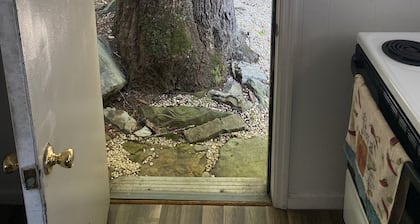 Cozy Laurel Highlands Cabin Minutes to Ski Resorts, Fishing, Hiking, etc.