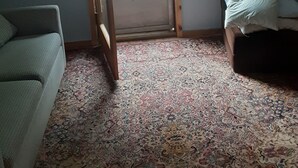 Una habitación con un ventanal grande, una alfombra estampada, una cama y un sofá.