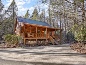 Exterior - Rustic Stay by the Creek: Your Perfect Creekside Retreat in Blue Ridge, Georgia (Epworth)
