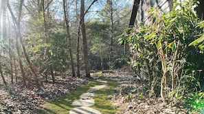 A forest path with stone steps surrounded by trees and foliage. - Rustic Stay by the Creek: Your Perfect Creekside Retreat in Blue Ridge, Georgia (Epworth)
