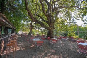 Restauration en plein air