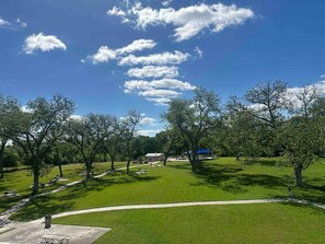 A park with pathways, picnic tables, and trees.