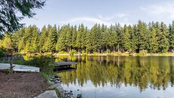 Eine friedliche Seenlandschaft mit Steg und Holzpier.