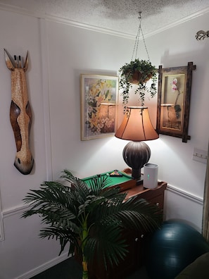 Games room - Your second home in florida (Altoona)