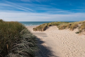Beach - Sunny Studio: Only 5-Min Walk to Sea & Dunes (Wijk aan Zee)