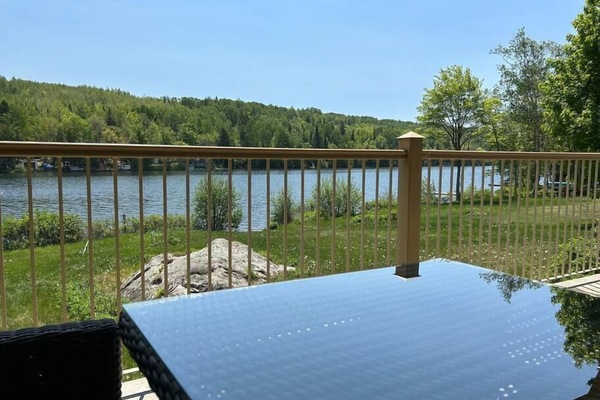 View of the lake from the patio