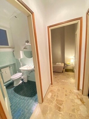 Hair dryer, bidet, towels