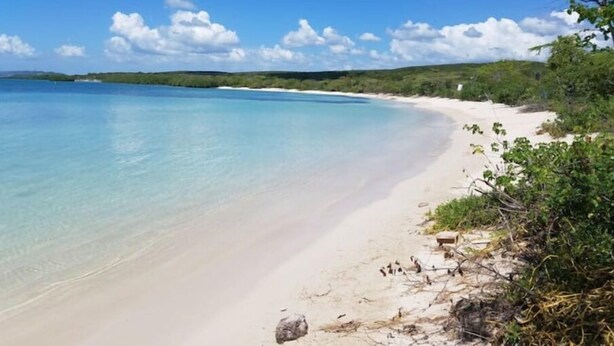 Ein Strand mit klarem türkisblauem Wasser, weißem Sand und grüner Vegetation.