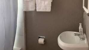 Une salle de bain avec un rideau de douche, deux serviettes suspendues à un porte-serviettes, un porte-rouleau de papier toilette et un lavabo avec un miroir.