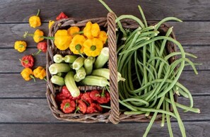 Alimentos y bebidas
