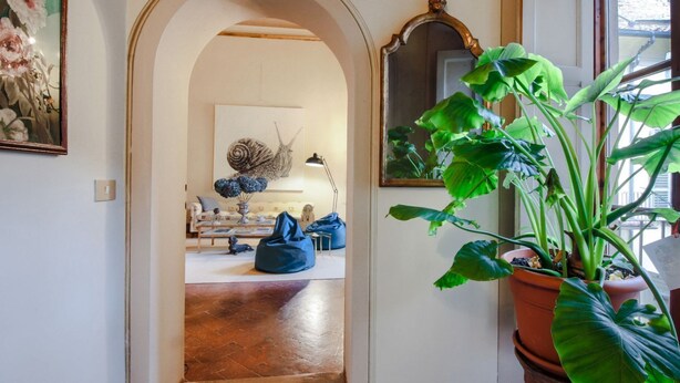 Um corredor interno com piso de madeira, um vaso de planta, um espelho e uma porta de entrada para outro quarto.