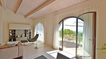 TV, fireplace, DVD player