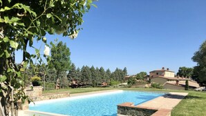 A rectangular swimming pool with a stone border, surrounded by a grassy area and trees.