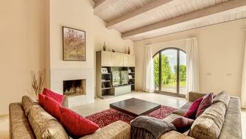 TV, fireplace, DVD player