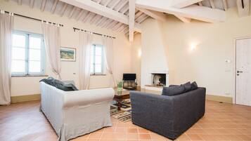 Télévision, cheminée, lecteur de DVD