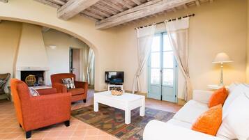 Télévision, cheminée, lecteur de DVD