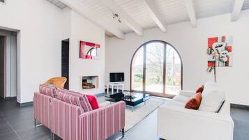Un salon moderne avec une cheminée, une grande fenêtre et un téléviseur.