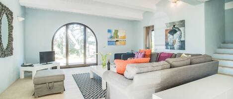 Tv, eldstad och dvd-spelare