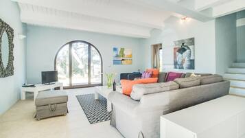 TV, fireplace, DVD player