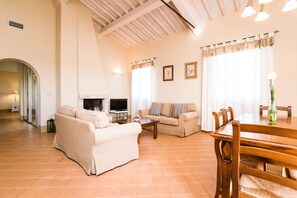 TV, fireplace, DVD player