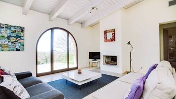 TV, fireplace, DVD player