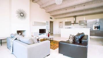 TV, fireplace, DVD player