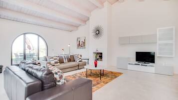 TV, fireplace, DVD player