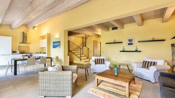 Televisión, chimenea y reproductor de DVD