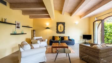 Télévision, cheminée, lecteur de DVD