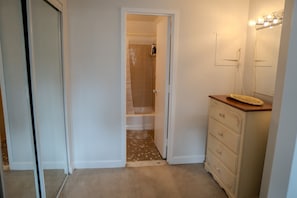 Bathroom features a walk-in shower and a vanity with a mirror.