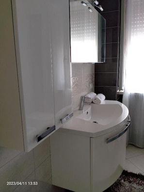 Shower, hair dryer, bidet, towels