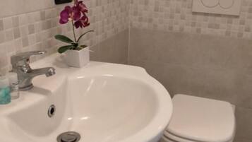 Shower, hair dryer, bidet, towels