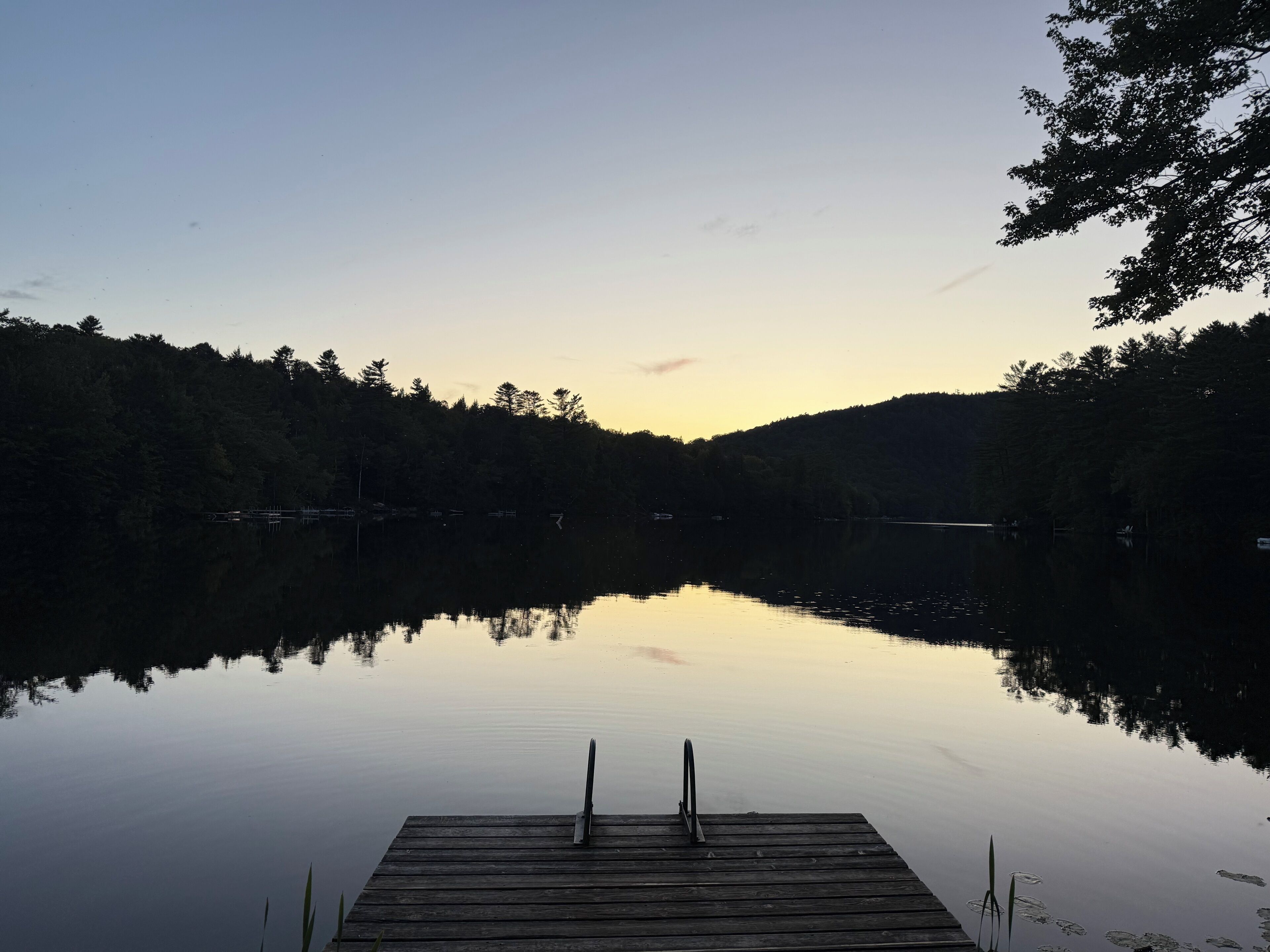 Une jetée en bois s’étendant sur un lac paisible, avec une colline boisée en arrière-plan.