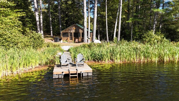A wooden dock with two Adirondack chairs extending over a pond, surrounded by tall trees and a cabin in the background.
