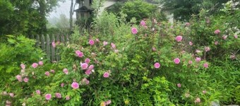  4Br Farmhouse @The Narramissic Manor with Sunrise views of Great Pond Mountain
