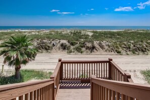 Property grounds - Pet friendly ocean front living (Fernandina Beach)