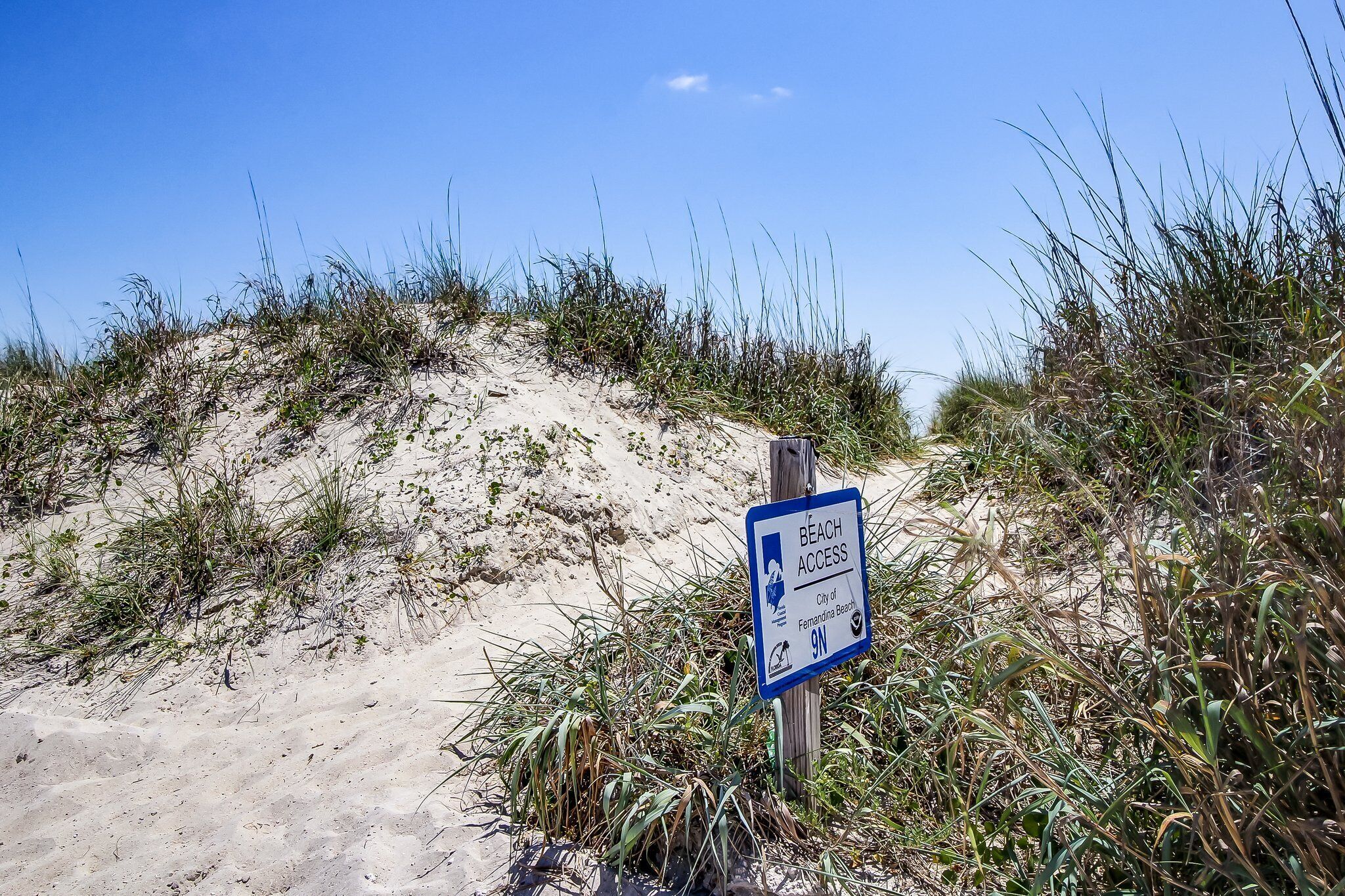 Schild für den Strandzugang mit Dünen und Vegetation.
