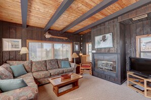 Smart TV, fireplace, DVD player, books
