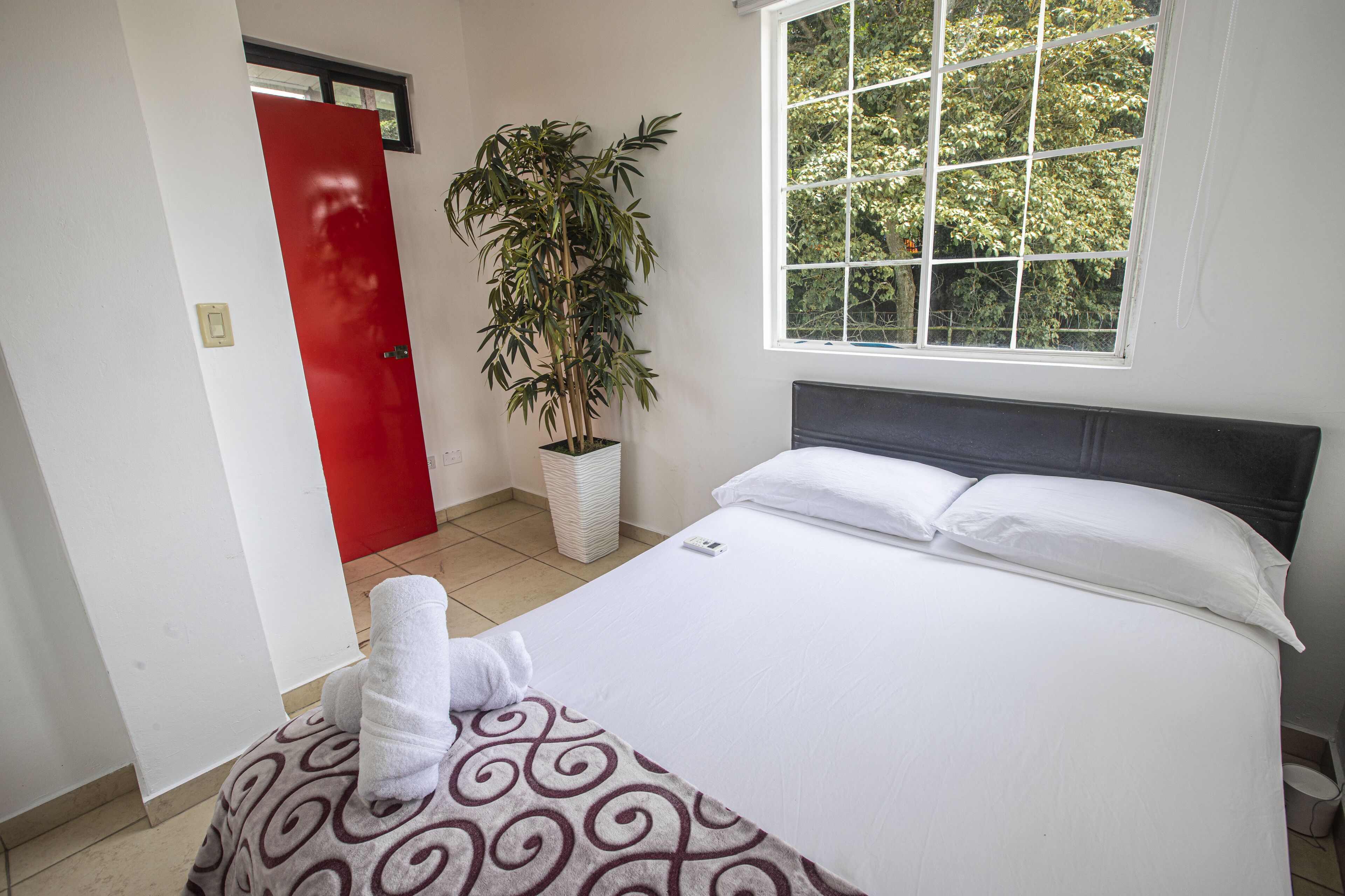 Une chambre d’hôtel avec un lit, une plante en pot, une porte rouge et une fenêtre donnant sur des arbres.