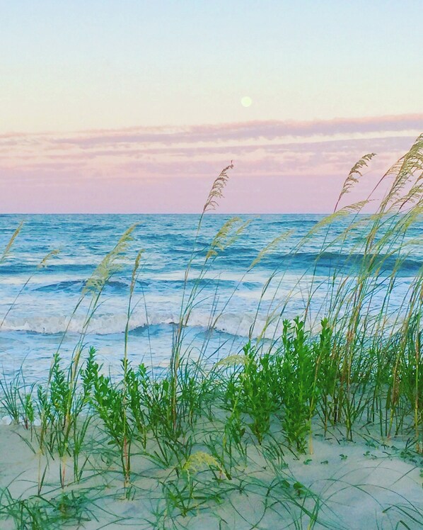 Uitzicht op strand/zee