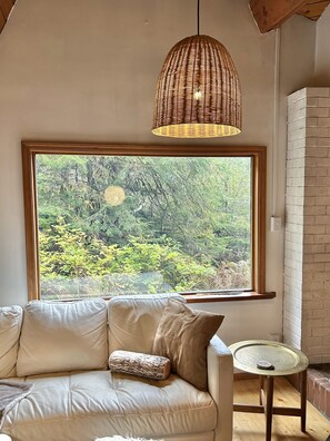 Smart TV, books - Organic-mod mid-century A-frame gem in pristine coastal forest setting (Juneau)