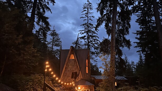 A cabin surrounded by tall trees, with string lights leading to the entrance.