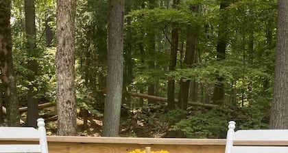 Esopus Creek modern Tiny house Retreat!