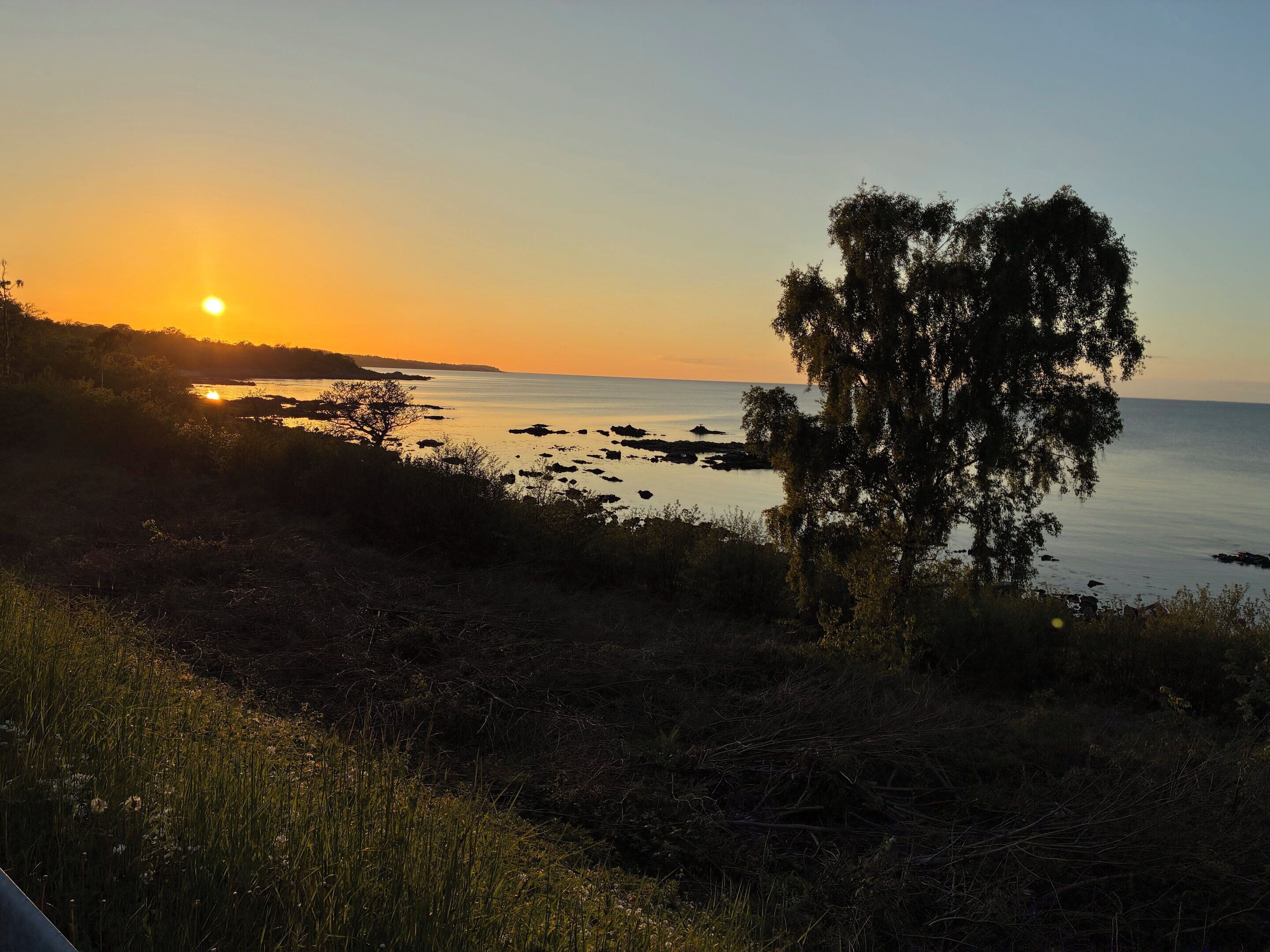 A coastal landscape with a sunset, trees, and a calm sea.