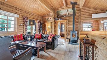TV, fireplace, DVD player, stereo