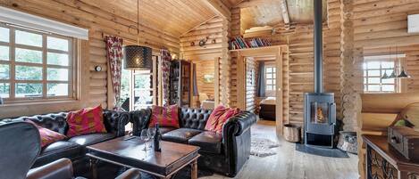 Kamin, DVD-Player, Stereoanlage