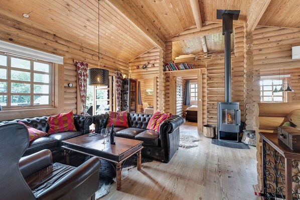 Cheminée, lecteur de DVD, chaîne hi-fi